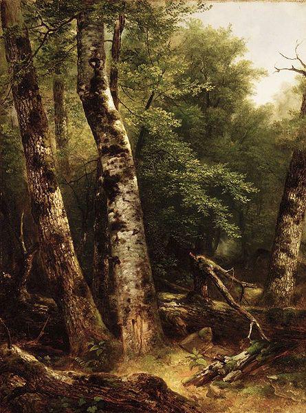 Asher Brown Durand Landscape (Birch and Oaks) China oil painting art